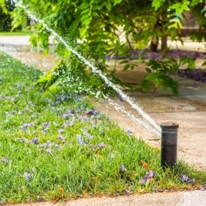 arrosage-automatique-jardin