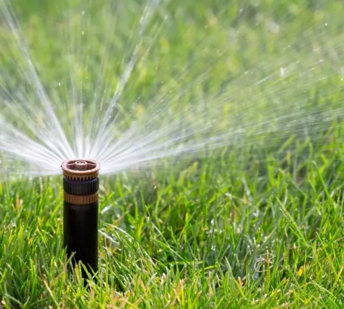 arrosage_automatique-3