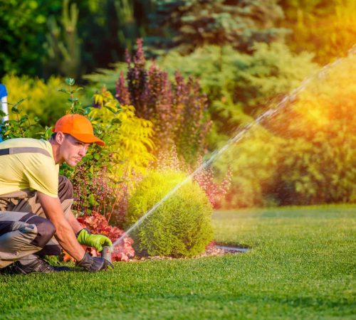 arrosage_automatique-6