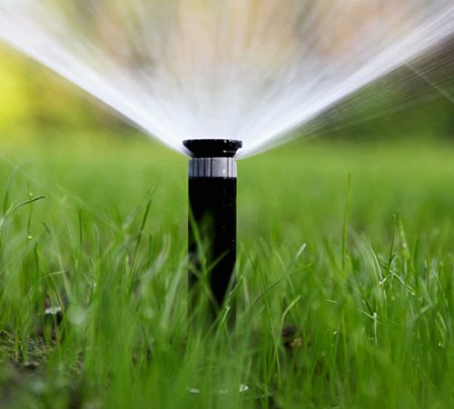 arrosage_automatique-7