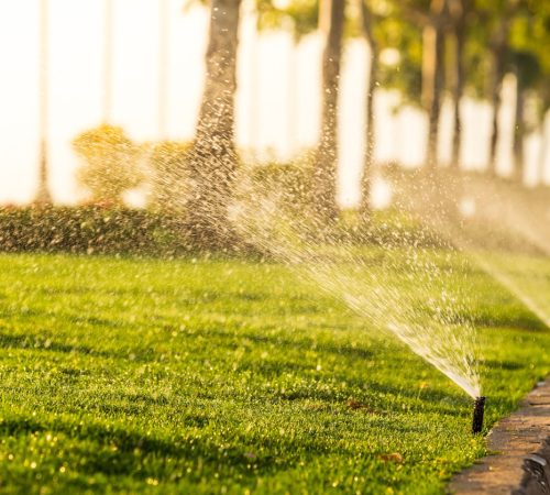 arrosage_automatique-8