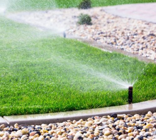 arrosage_automatique