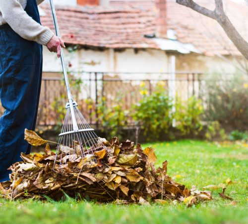 entretien-du-jardin-2