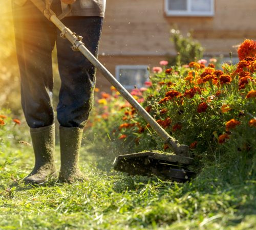 entretien-du-jardin-6