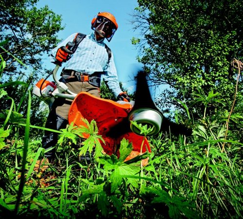 entretien-du-jardin-8